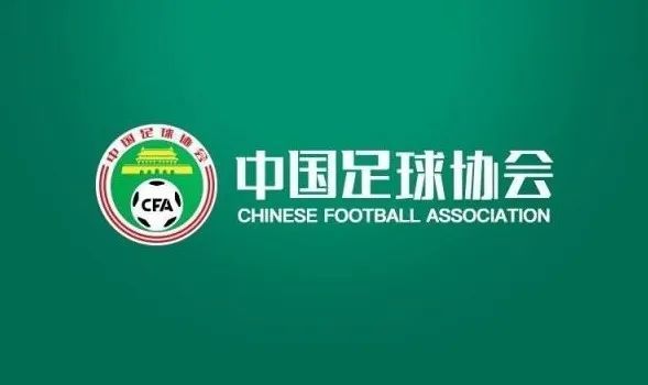精品视频在线播放